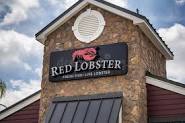 Image result for photos of red lobster