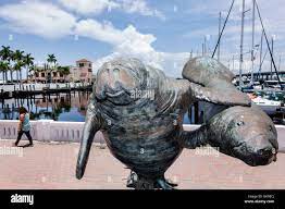 Manatee riverwalk hi-res stock photography and images - Alamy